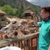 Dr. Dvornicky-Raymond hands food to a giraffe