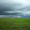 A grassy field under a stormy sky