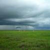 A grassy field under a stormy sky