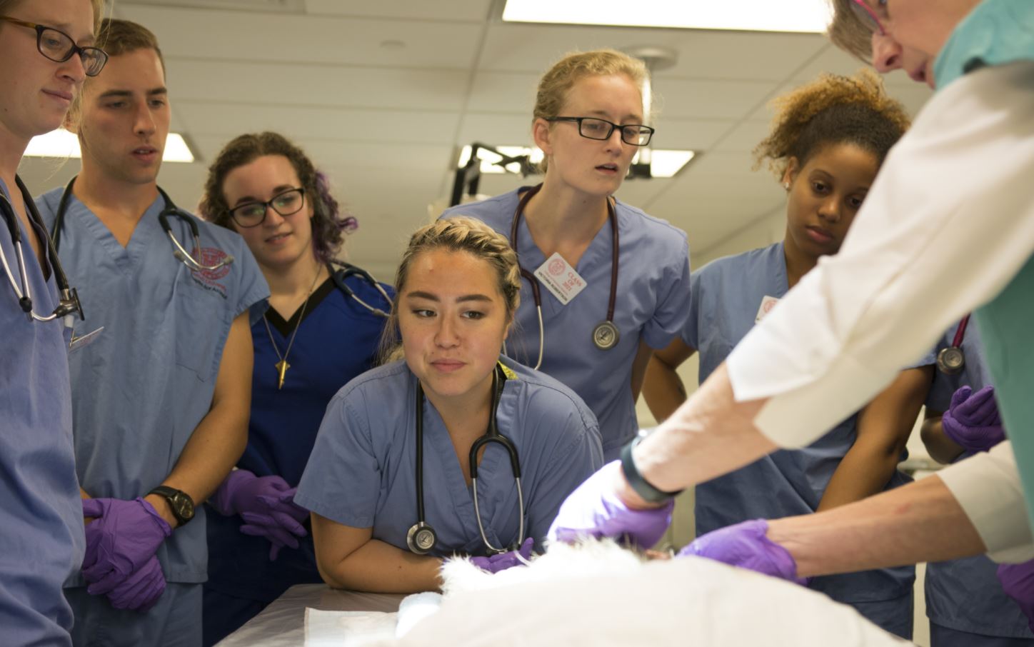 students watch a professor teach clinical skills