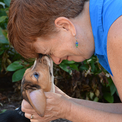 Woman bending down to give and receive affection from a Beagle puppy dog.