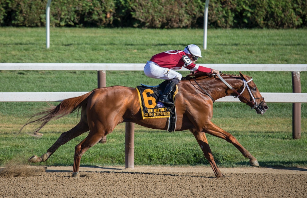 A thoroughbred horse racing with a jockey