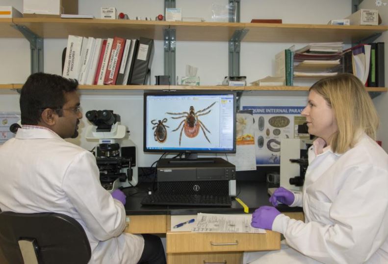 Two scientists in front of a computer