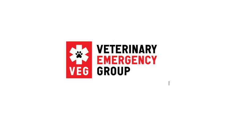 Veterinary Emergency Group awards full tuition scholarship to two CVM