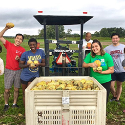 students standing around freshly picked mangoes 