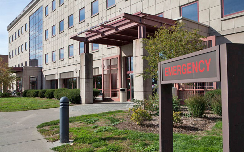 Main Entrance for the Companion Animal Hospital