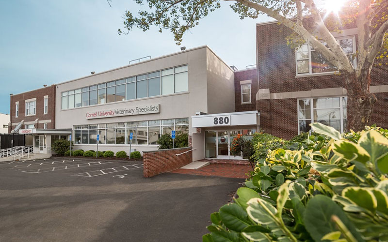 Main Entrance for Cornell University Veterinary Specialists