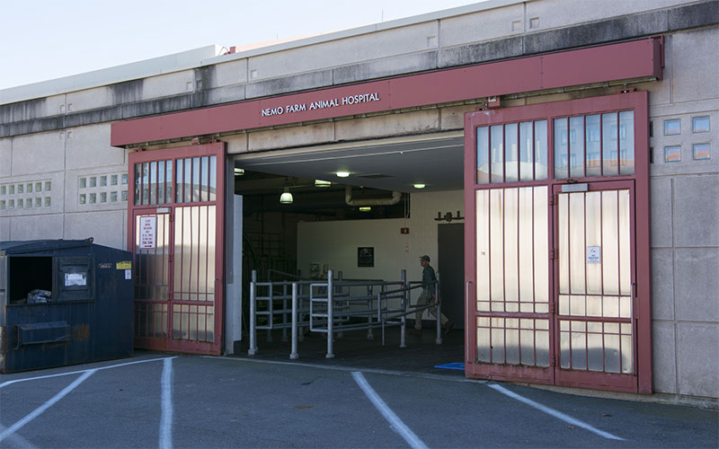 Main Entrance for the Nemo Farm Animal Hospital