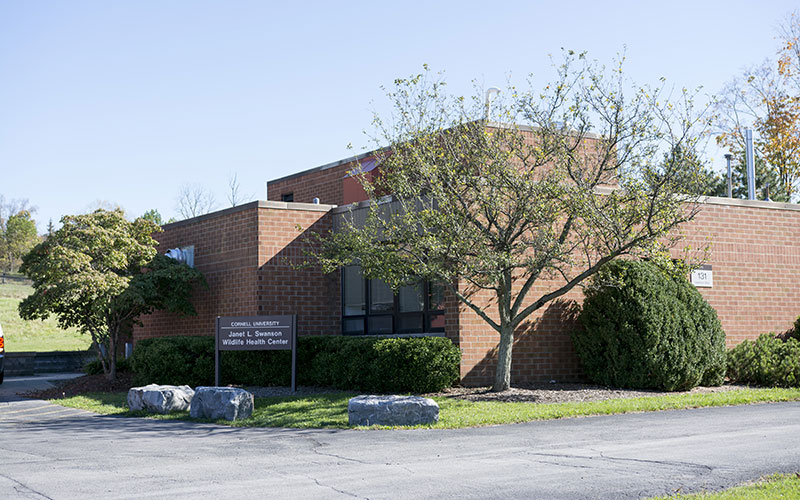 Main Entrance for the Wildlife Health Center